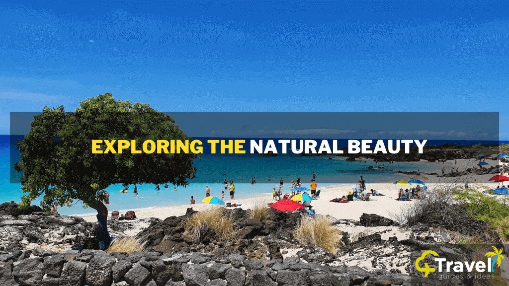 Exploring the Natural Beauty