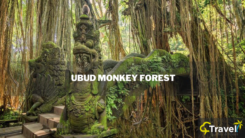 Ubud Monkey Forest